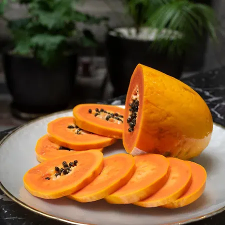 Отель 1478 Лас-Пальмас-де-Гран-Канария